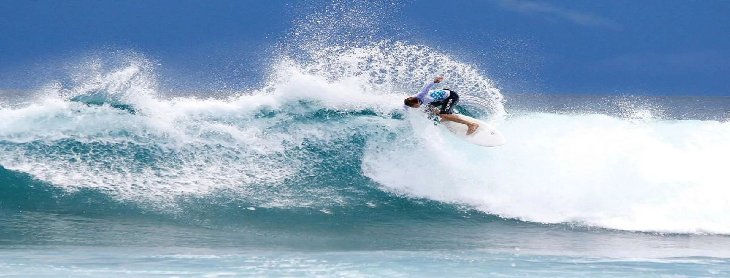 Image for Surfing Safari